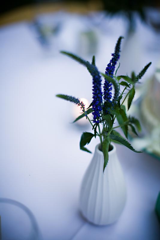 070818_NateAndKristi_434