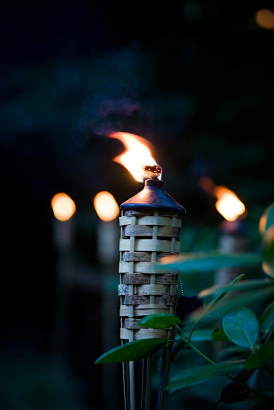 070818_NateAndKristi_594