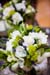 070818_NateAndKristi_104