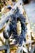 070818_NateAndKristi_169